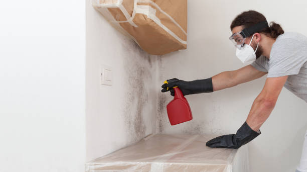 Professional Bathroom Mold Removal technician working in Westfield, MA